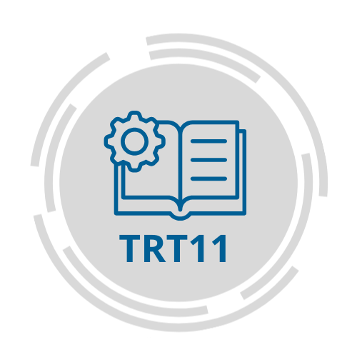 Manual trt11