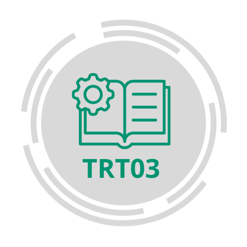Manual Resumido trt03